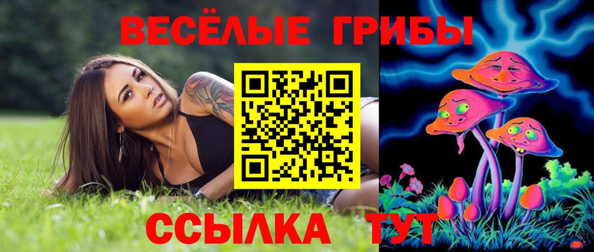 Серов  Галлюциногенные грибы Psilocybe  Вход с VPN  Псилоцибиновые грибы Cubensis 